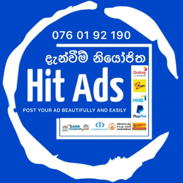 67e416a9504f4Y45c8VoUdO1743001257.jpg