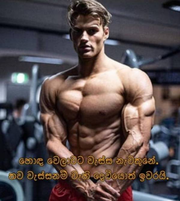 69983edeb43b9RkxtplV2X21771585246.jpg